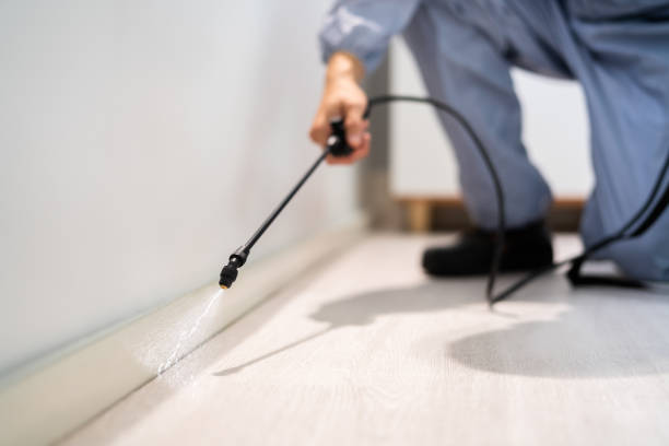 Professional exterminator conducting IPM assessment in Bladensburg